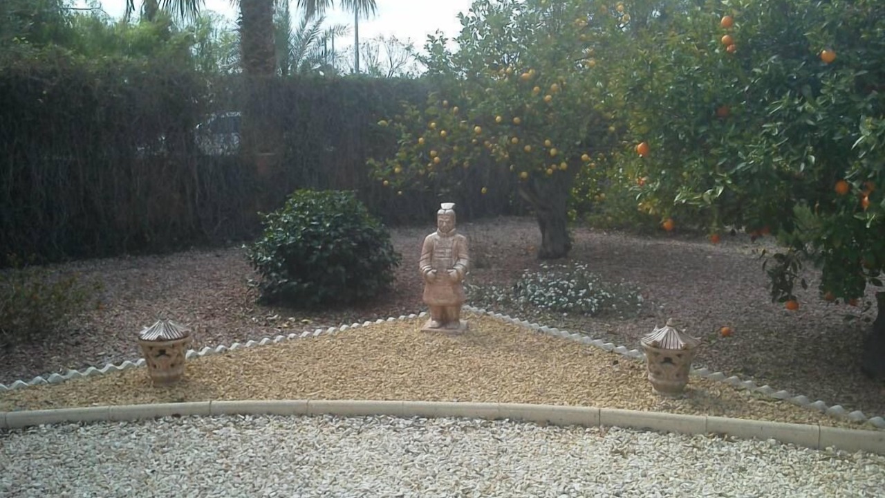 Photo of Outdoor in Catral