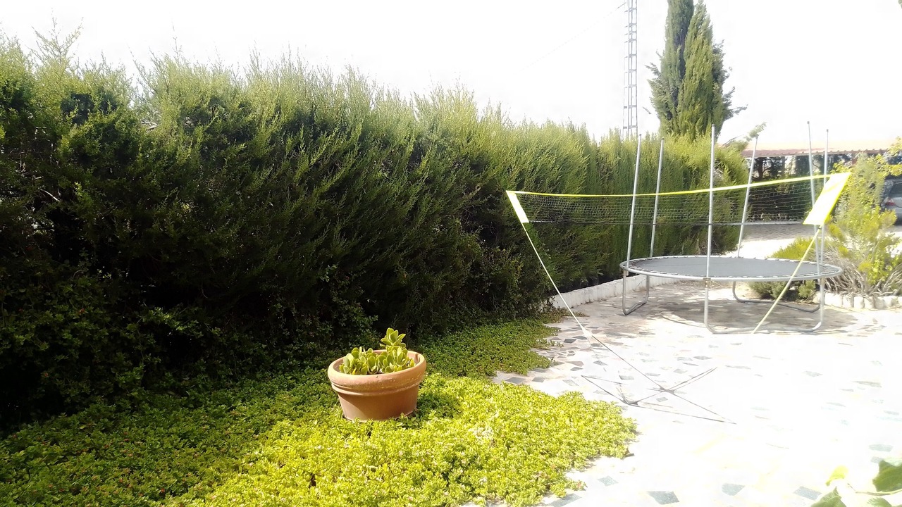 Photo of Outdoor in Calasparra