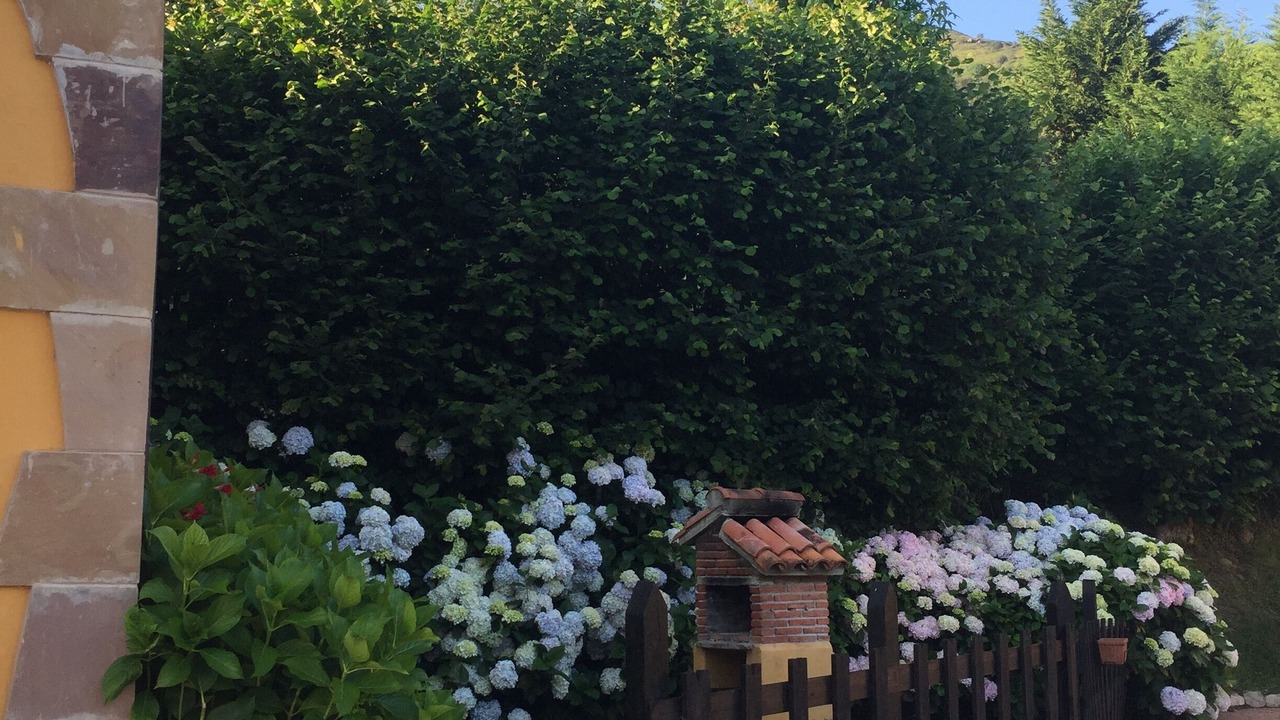 Photo of Outdoor in Celis