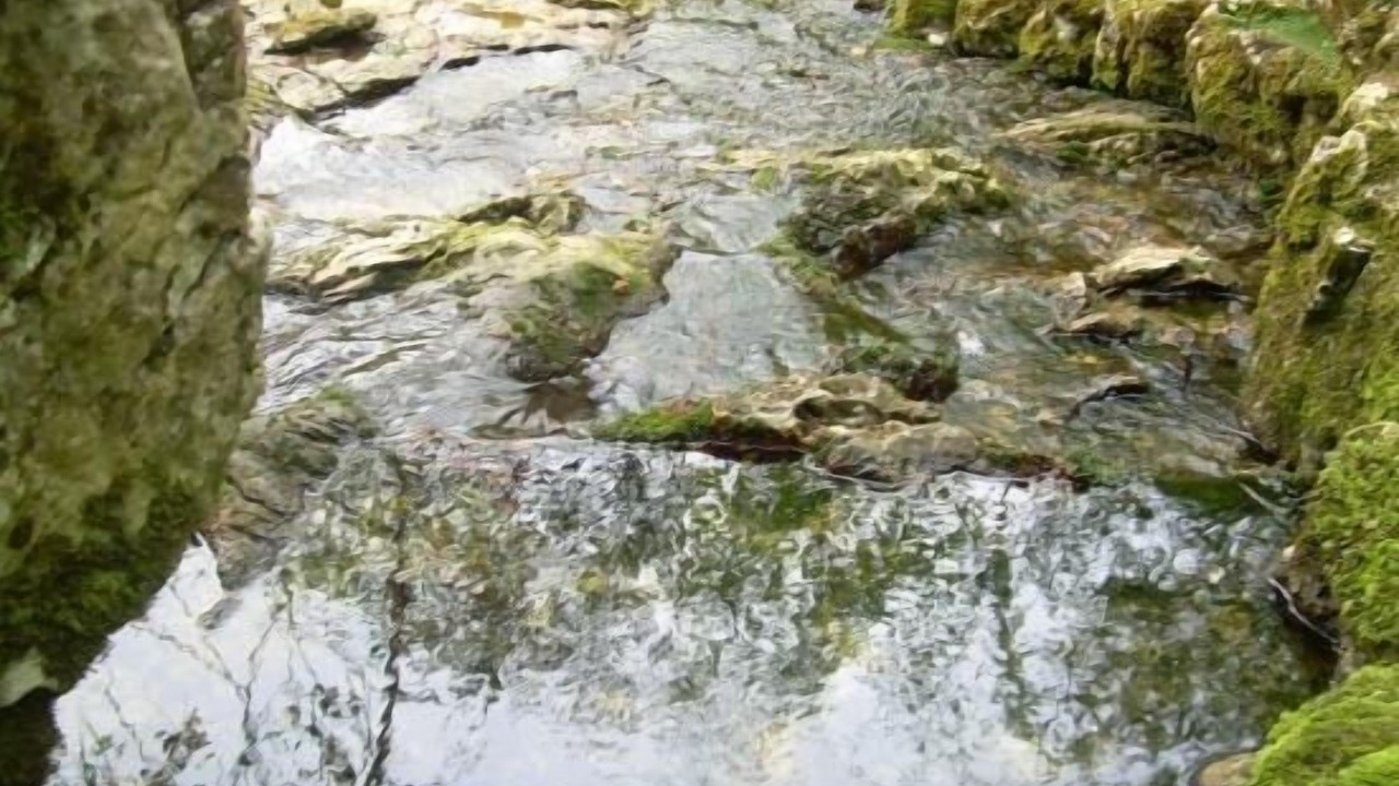 Photo of Outdoor in Celis