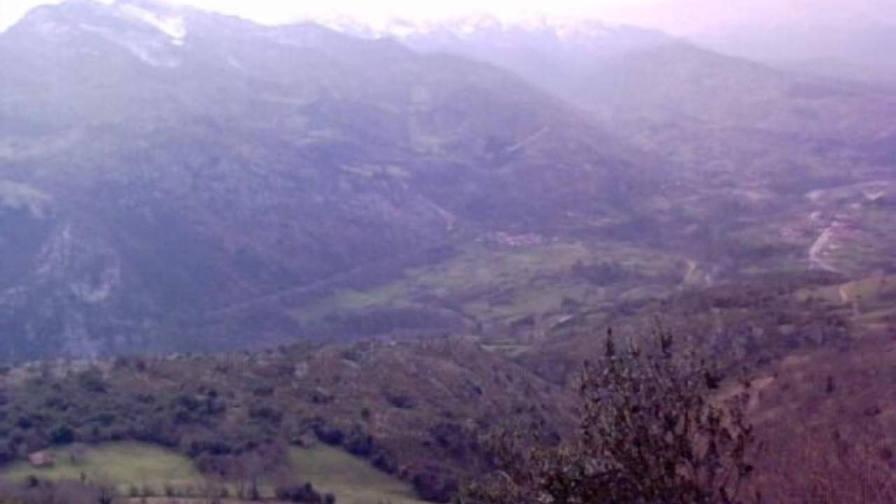 Photo of Others in Celis
