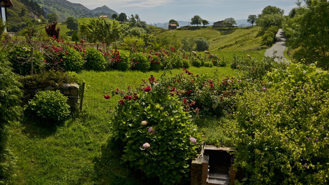 Photo of Outdoor in Cavandi