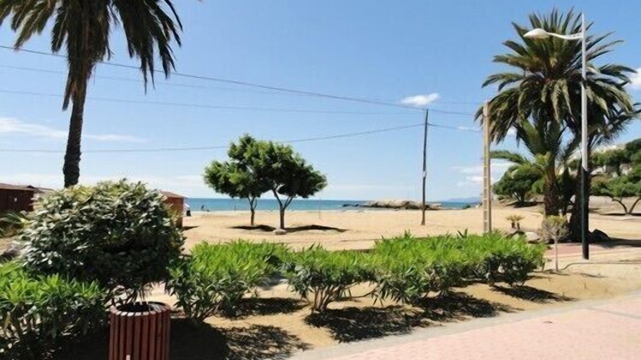Photo of Others in San Juan de los Terreros