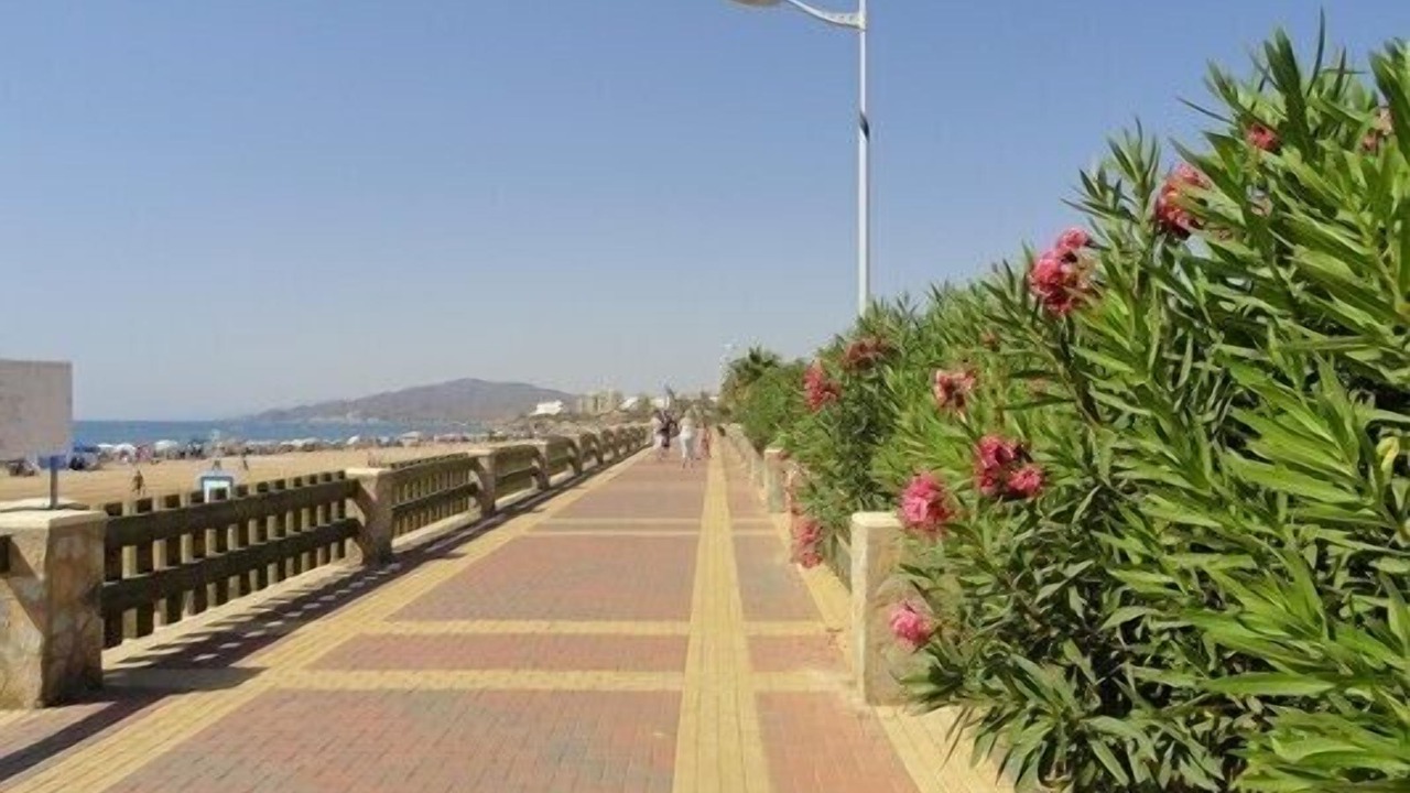 Photo of Others in San Juan de los Terreros