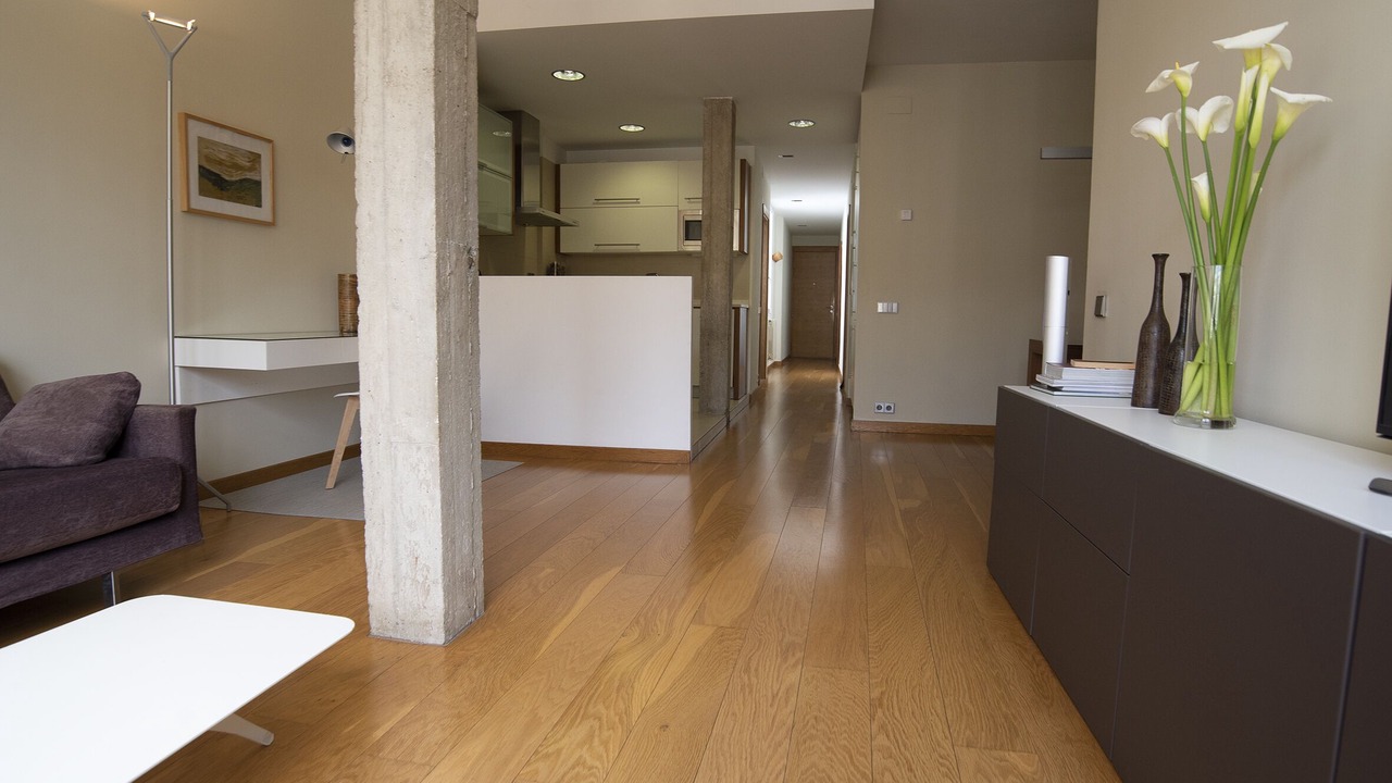 Photo of Livingroom in Logrono City Centre