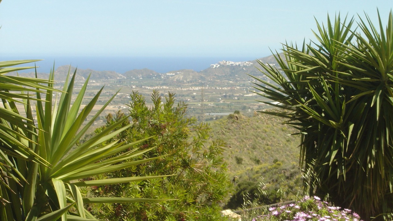 Photo of Outdoor in Bedar