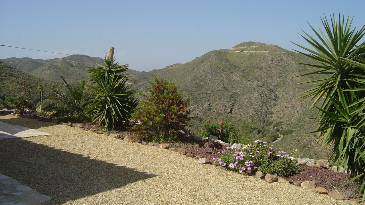 Photo of Outdoor in Bedar