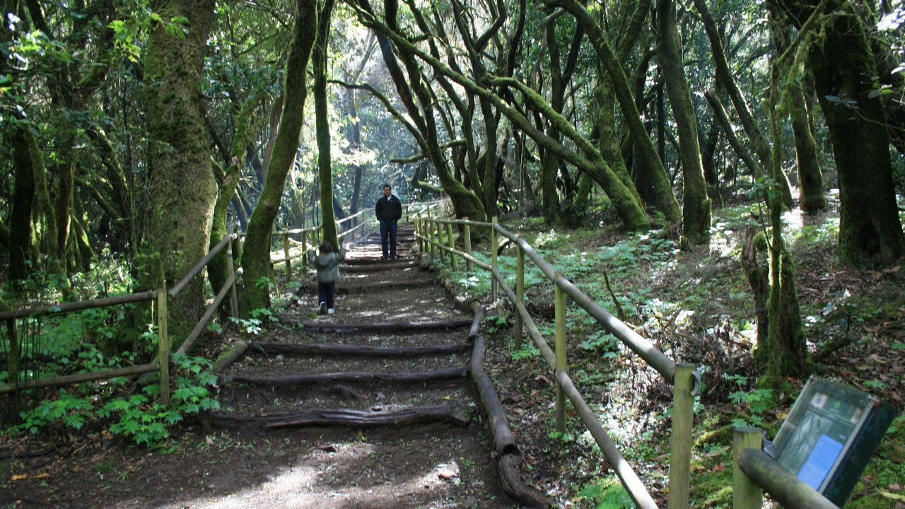 Photo of Outdoor in La Calera