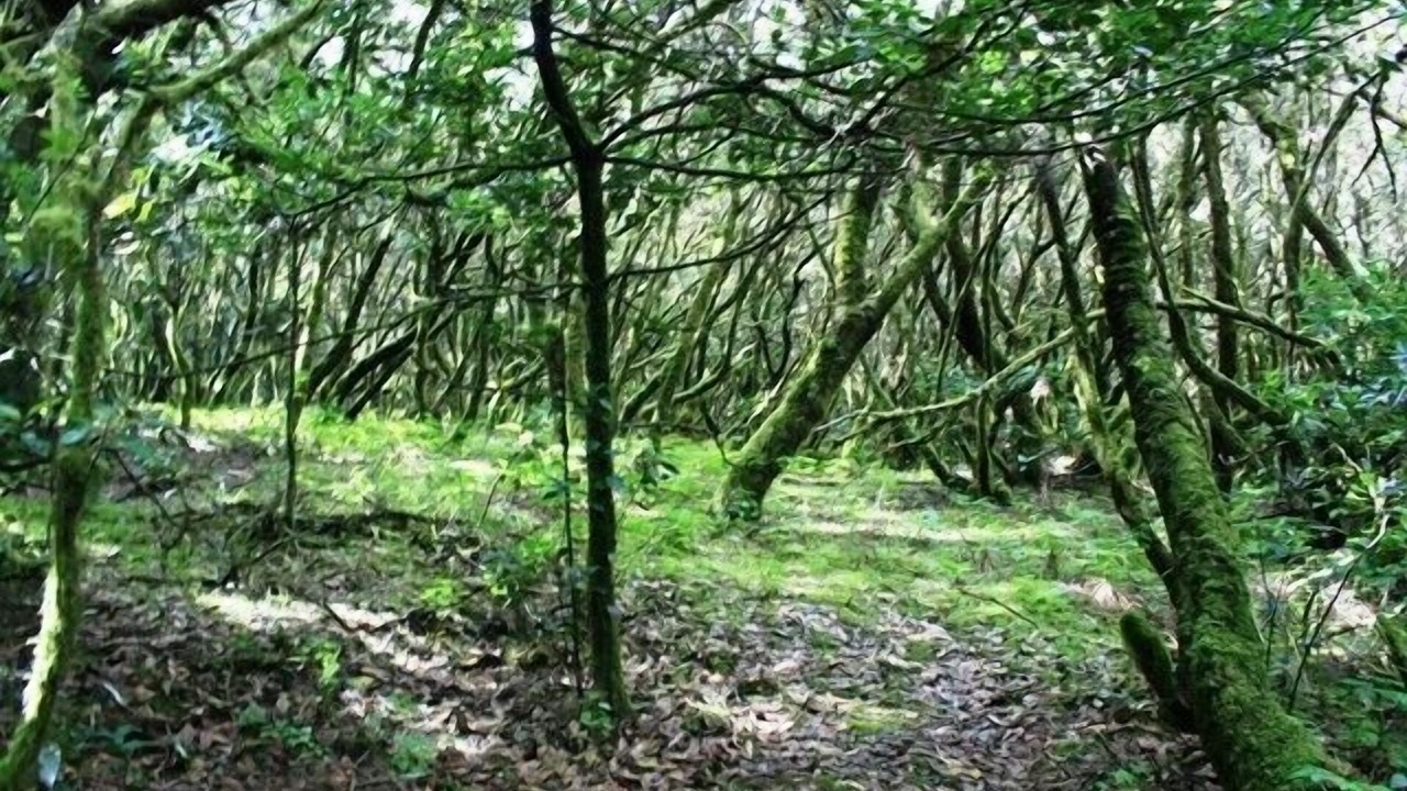 Photo of Outdoor in La Calera