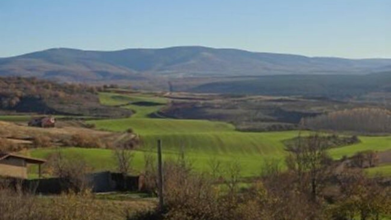 Photo of Others in Galarde
