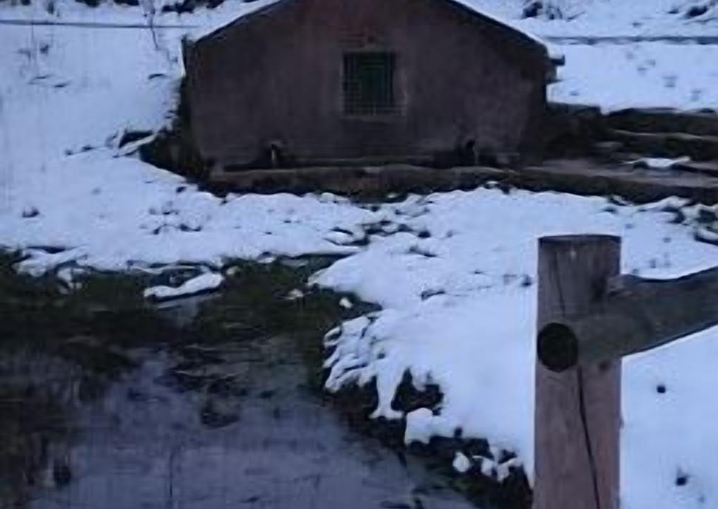 Photo of Others in Bernuy de Porreros