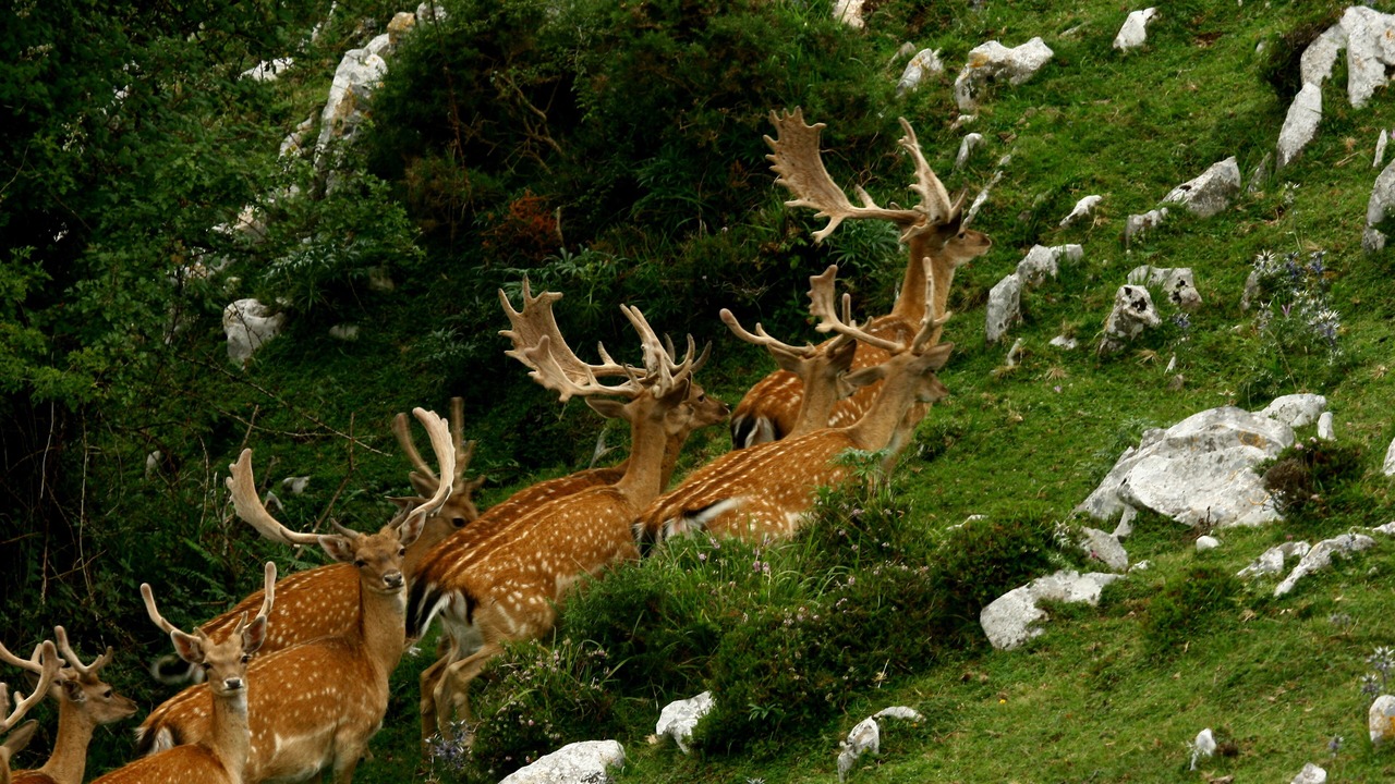 Photo of Outdoor in Villamayor