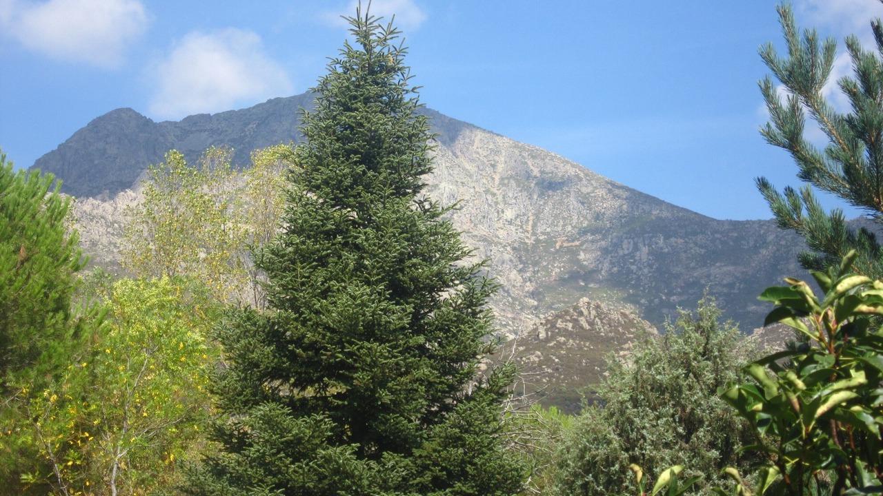 Photo of Outdoor in Mataelpino