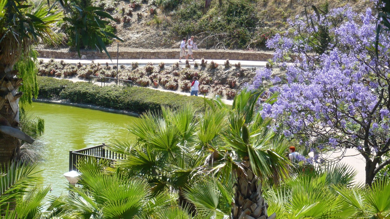 Photo of Others in Benalmadena Costa