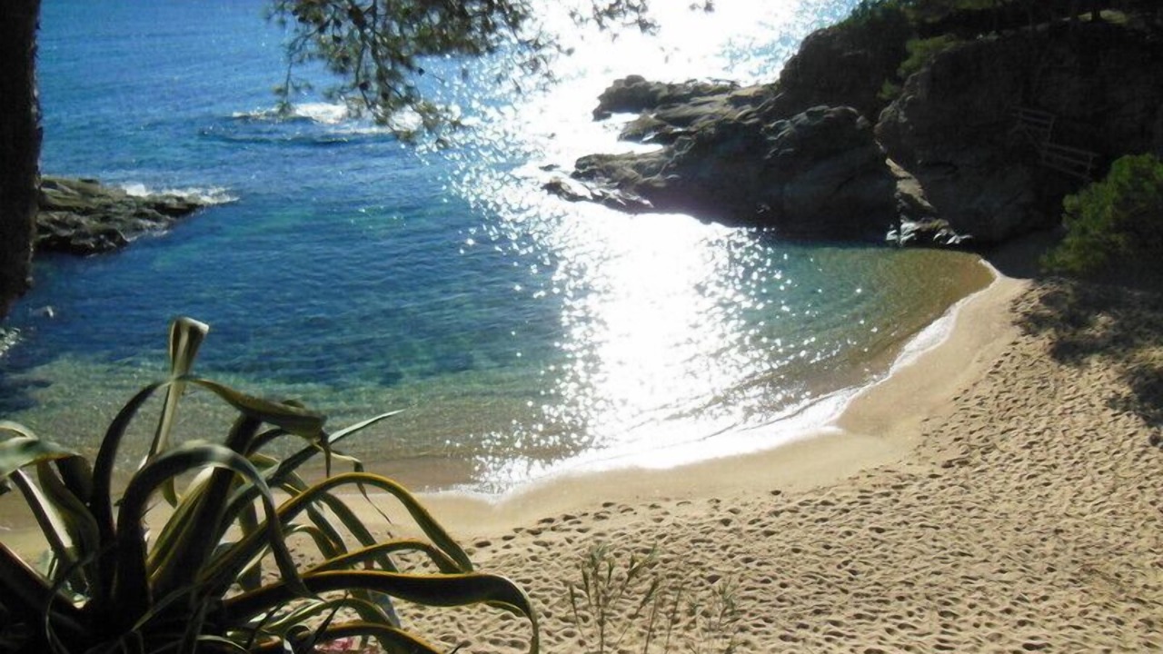 Photo of Others in Platja d'Aro