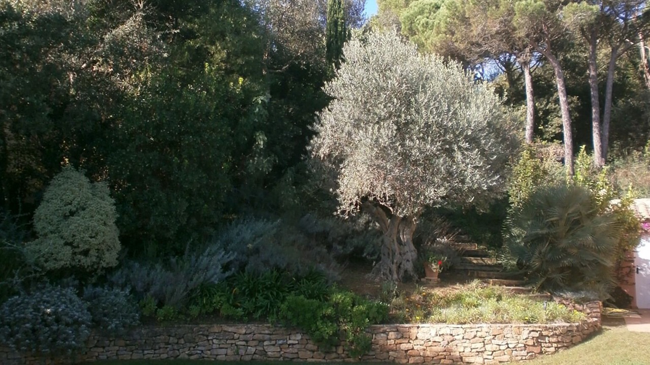 Photo of Outdoor in Aiguablava