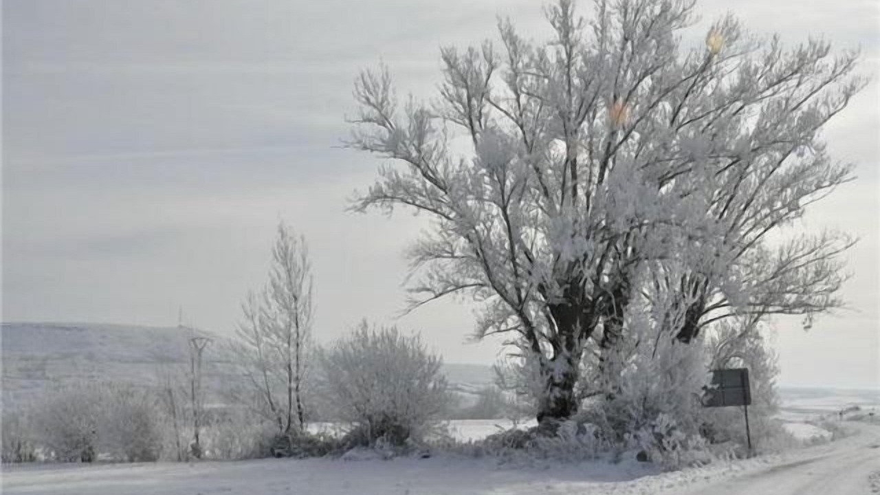 Photo of Others in Valle de Santibanez