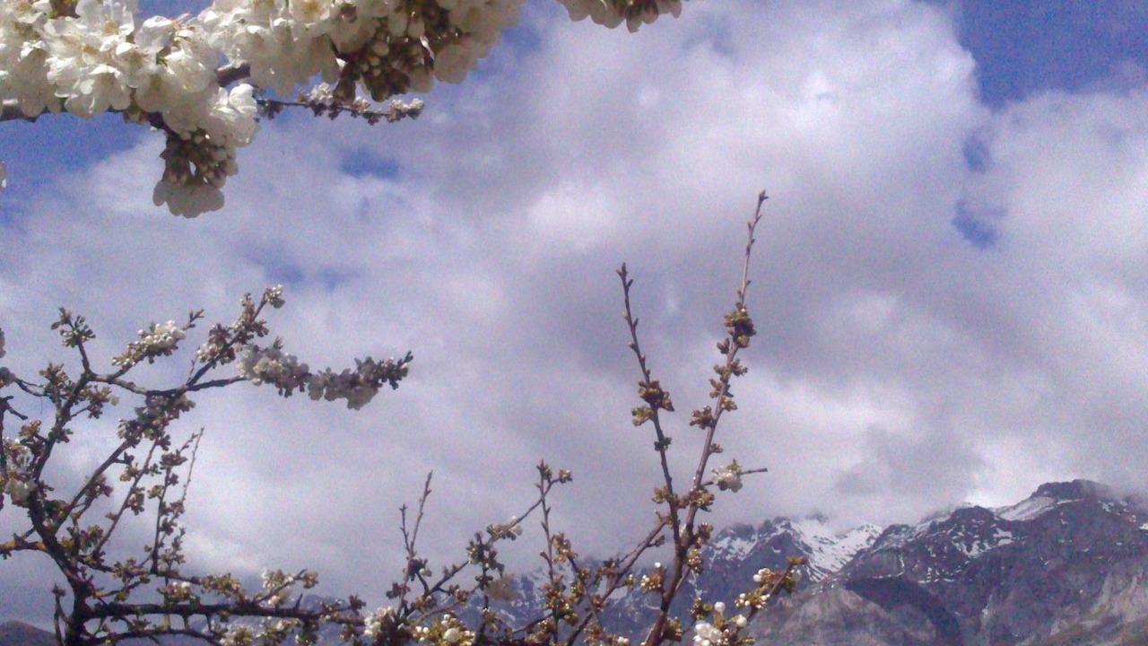 Photo of Outdoor in Cobena