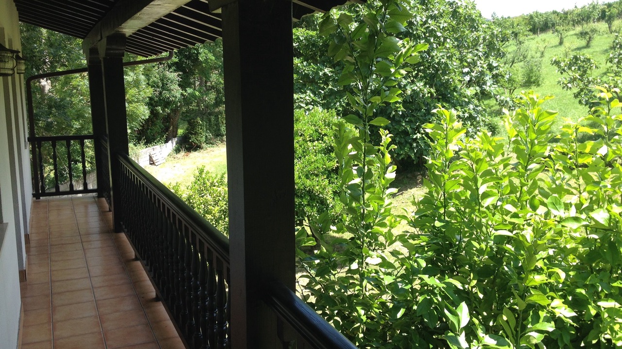 Photo of Outdoor in Ampuero