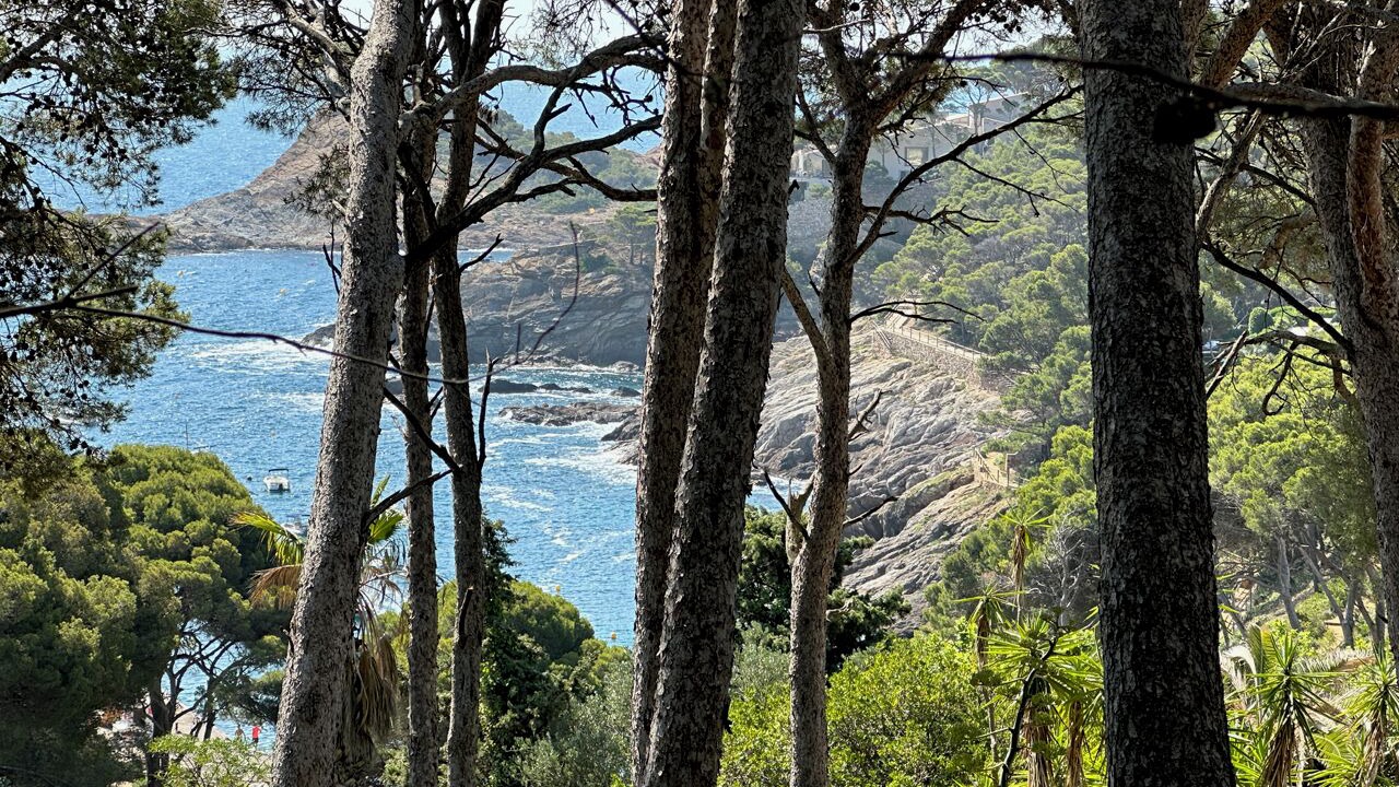 Photo of Others in Begur