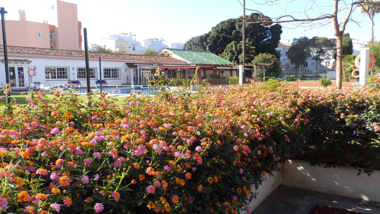 Photo of Outdoor in Carihuela