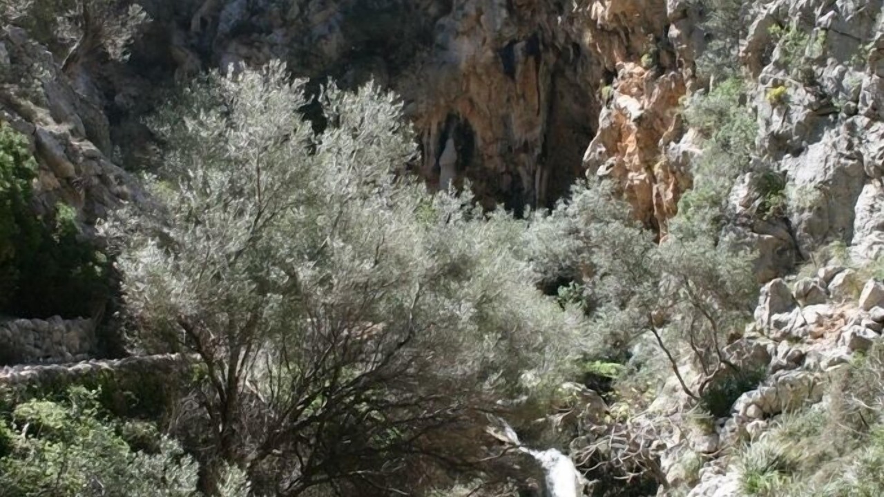 Photo of Outdoor in Biniaraix