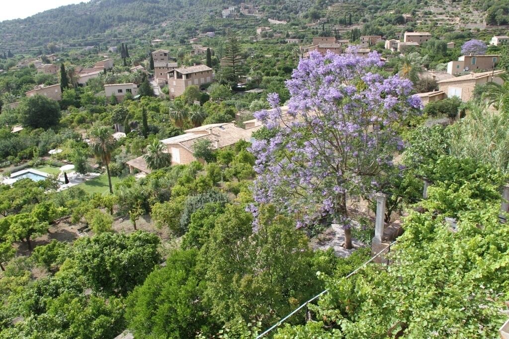 Photo of Outdoor in Biniaraix