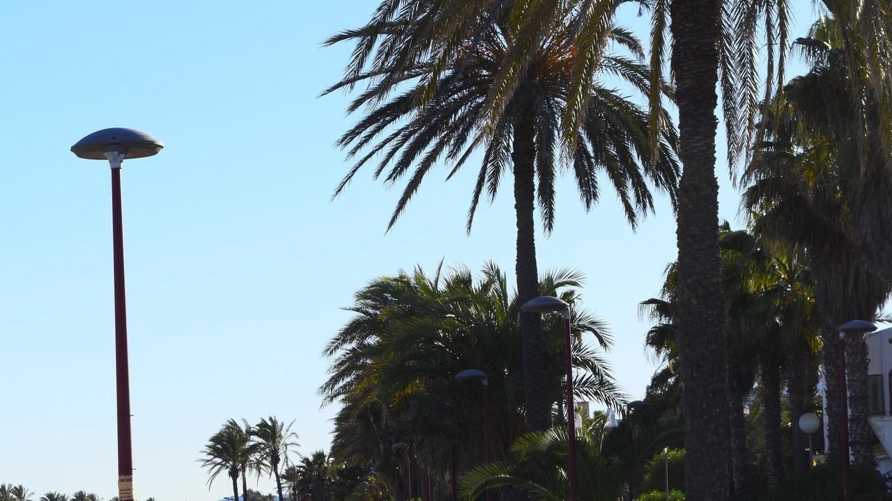 Photo of Outdoor in Puerto Rey