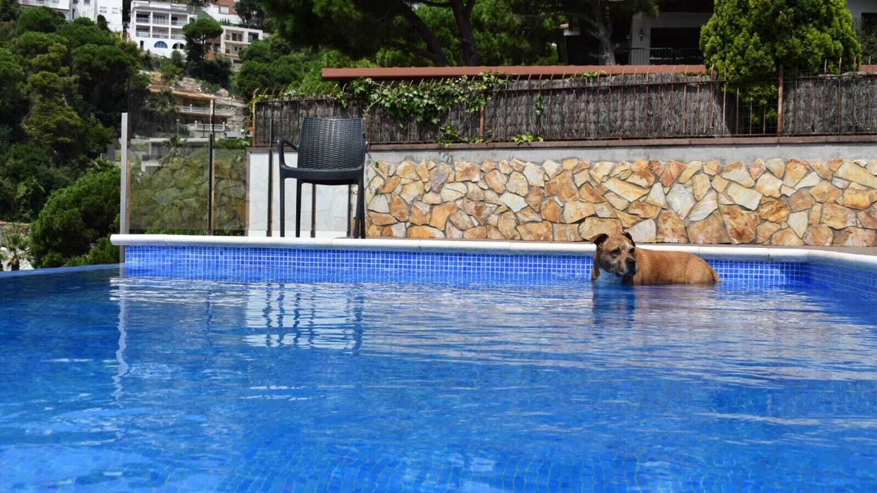 Photo of Outdoor in Lloret de Mar