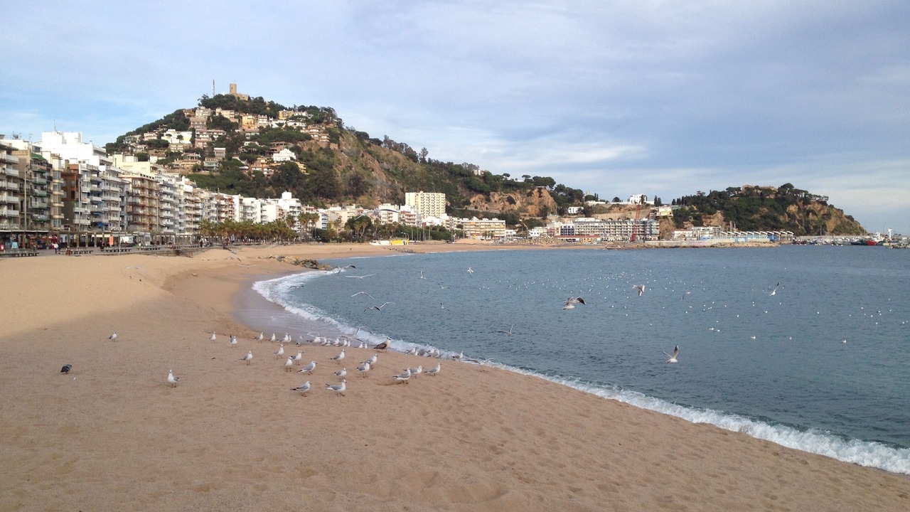 Photo of Others in Lloret de Mar
