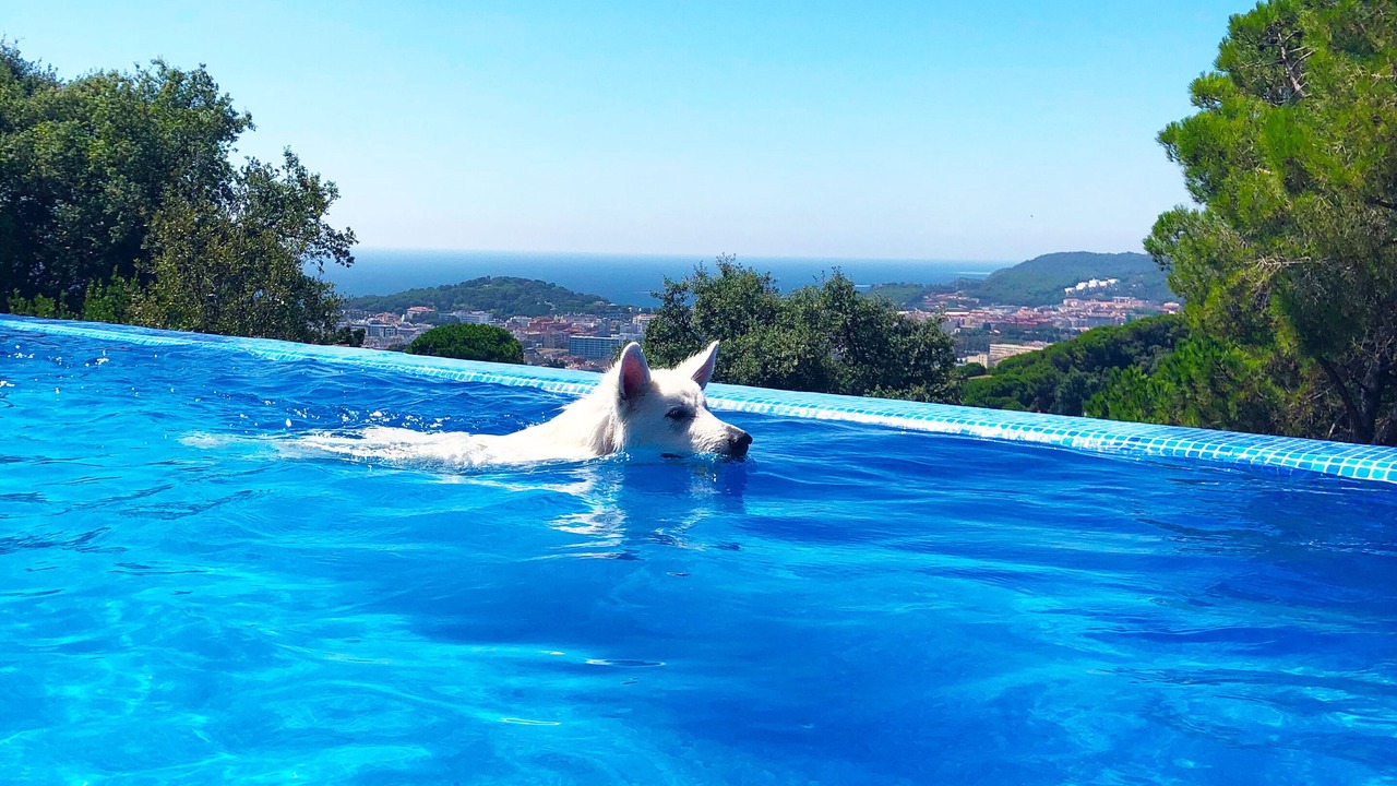 Photo of Outdoor in Lloret de Mar