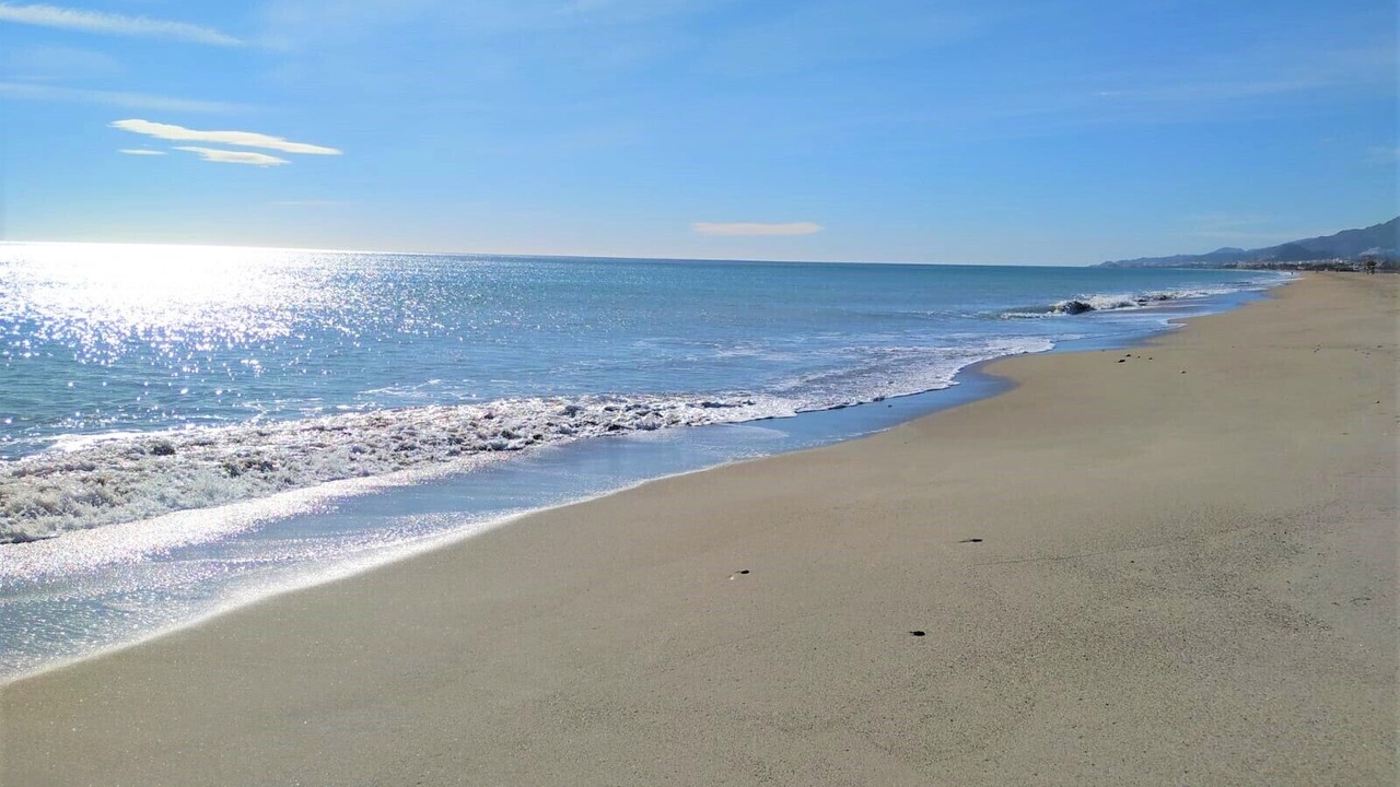 Photo of Others in Vera Beach