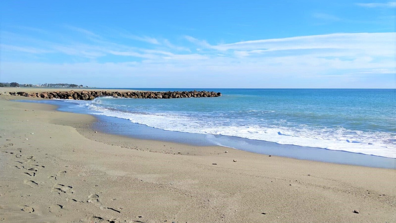 Photo of Others in Vera Beach