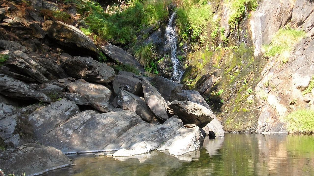 Photo of Others in Azabal