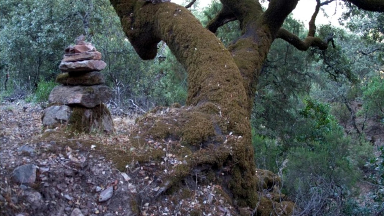 Photo of Outdoor in Azabal