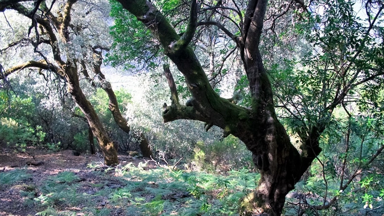Photo of Outdoor in Azabal