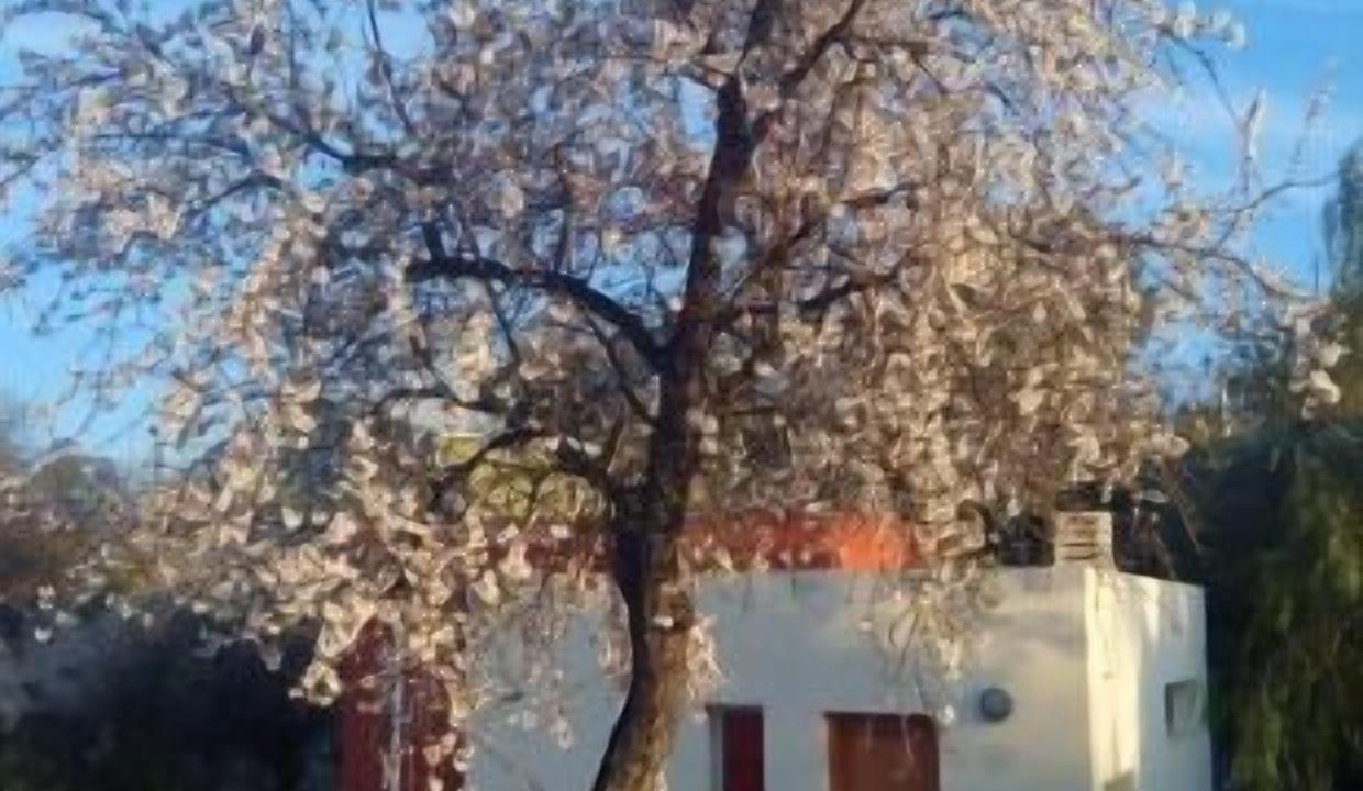 Photo of Outdoor in Calles