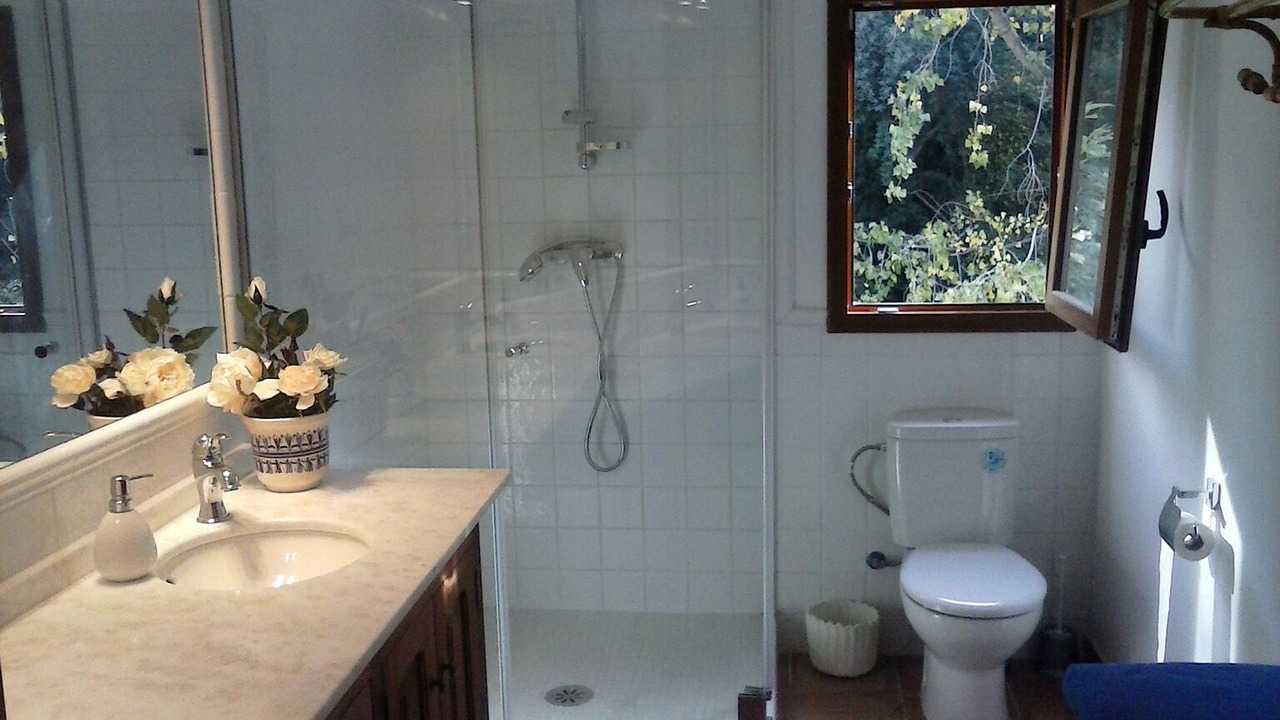 Photo of Bathroom in Fornalutx