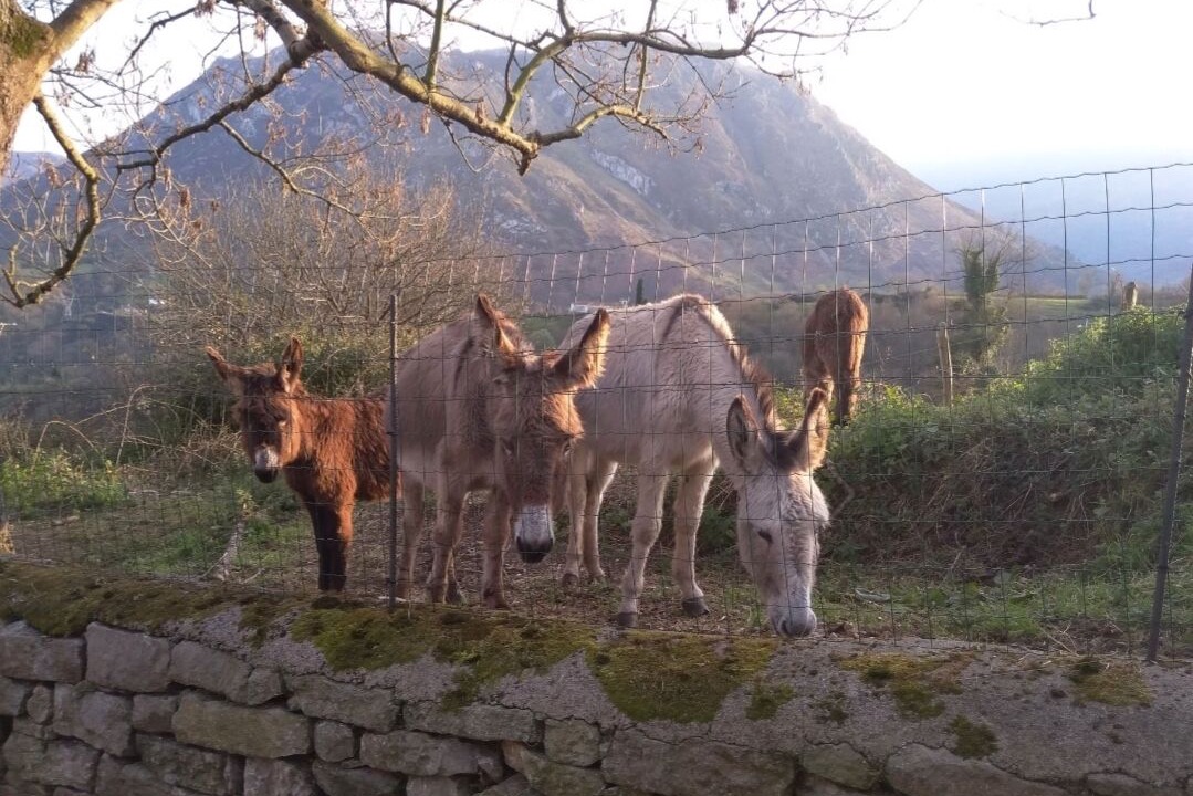 Photo of Outdoor in Penanes