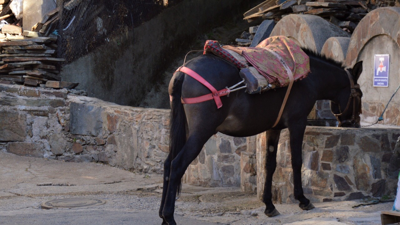 Photo of Outdoor in Casares de las Hurdes