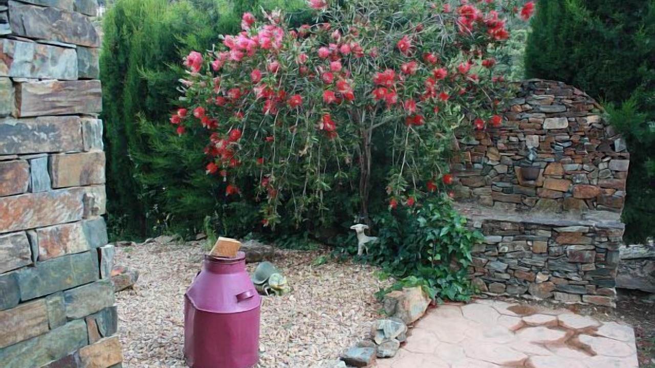 Photo of Outdoor in Casares de las Hurdes