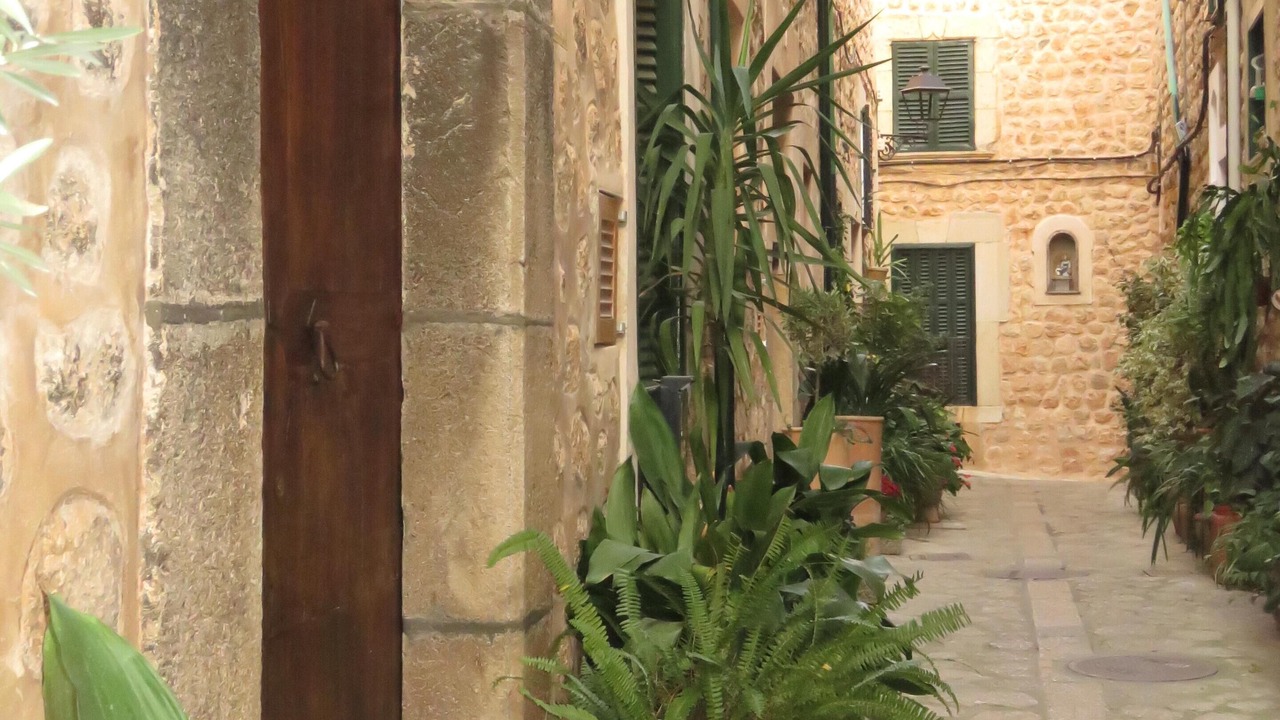 Photo of Outdoor in Fornalutx