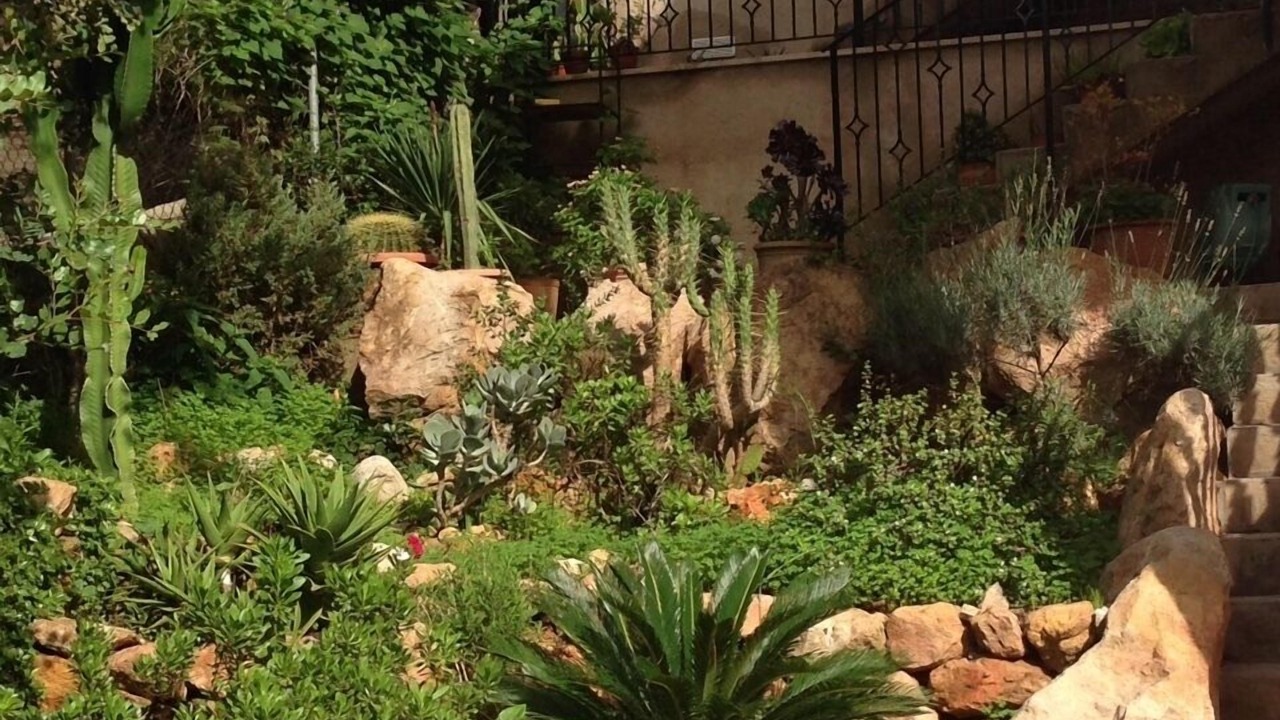 Photo of Outdoor in Son Serralta