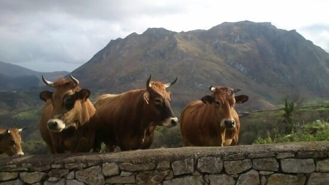 Photo of Outdoor in Penanes