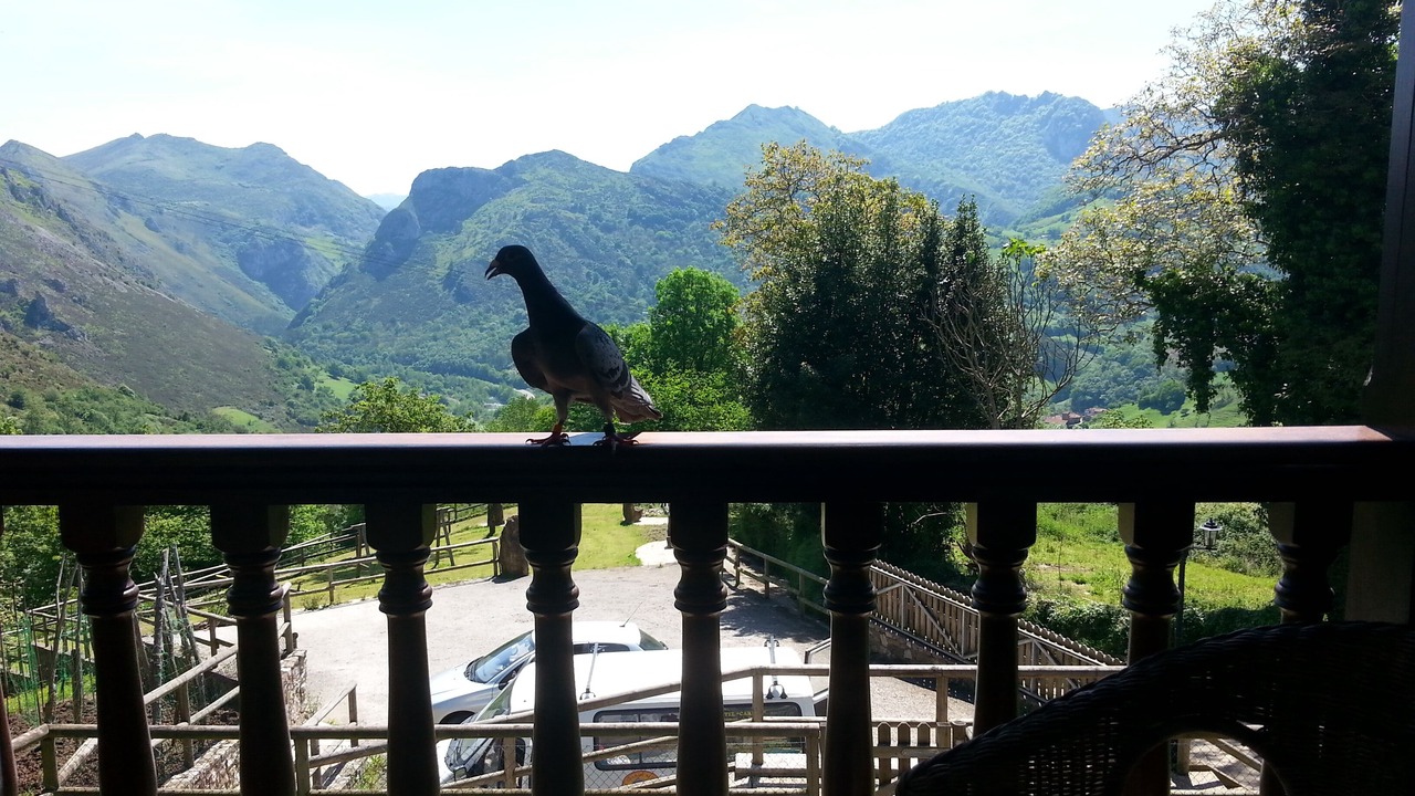 Photo of Outdoor in Penanes