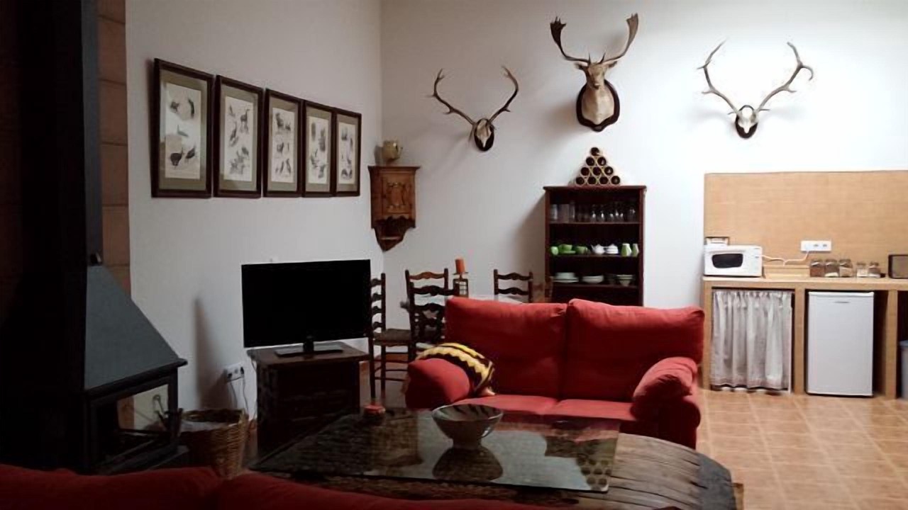 Photo of Livingroom in Malagon