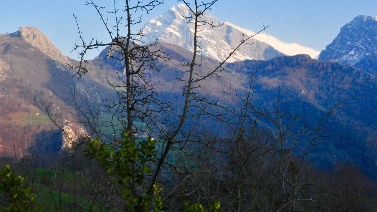 Photo of Others in Santovena