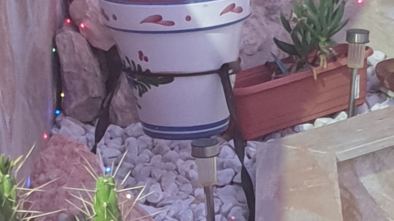 Photo of Others in San Miguel de Salinas