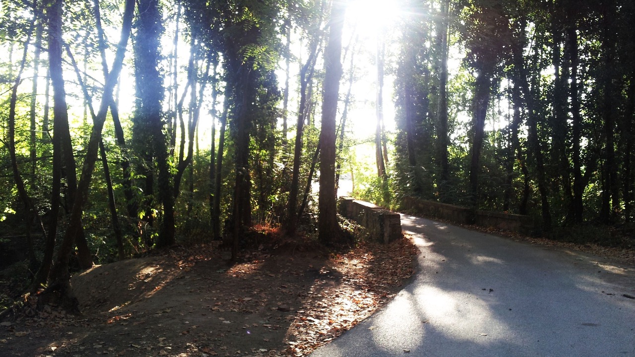 Photo of Outdoor in Santa Coloma de Farners