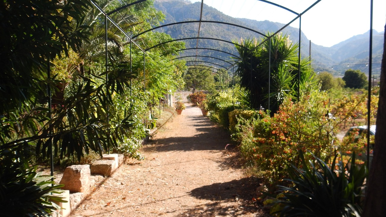 Photo of Others in Biniaraix